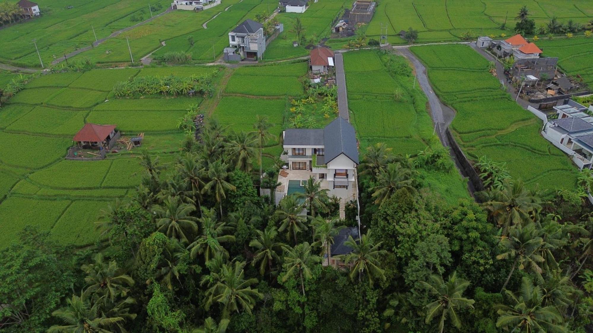 Honey Villa Ubud By Island Escape Екстериор снимка